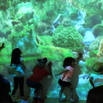 北海道千歳市 道の駅サーモンパーク千歳 インタラクティブマッピング